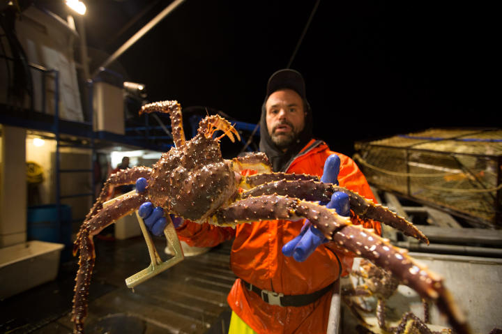Matt Bradley with a monster crab.