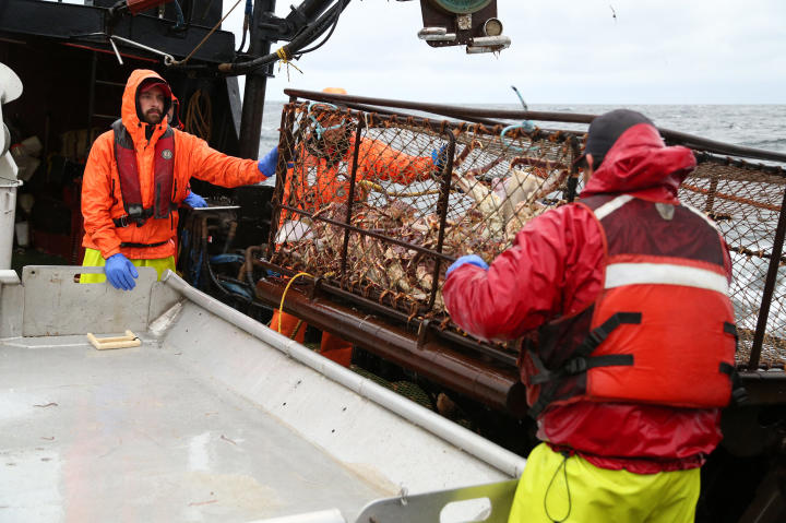 Seabrooke deckhand Chris "Whipper" Welch and greenhorn Nick Ocanaz empty a crab pot.