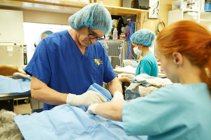 Dr. Jeff: Rocky Mountain Vet