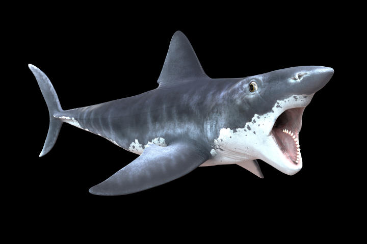 River Monsters, Prehistoric Terrors