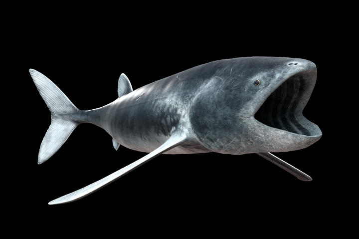 River Monsters, Prehistoric Terrors