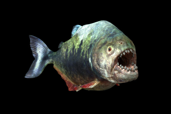 River Monsters, Prehistoric Terrors