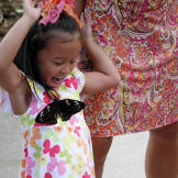 A butterfly lands on Alexis Gosselin.