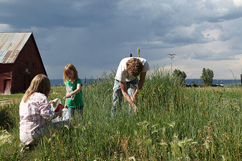 2. Forage For Food