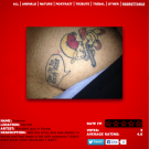 Being on the losing end of a bet is NOT the way you want to end up with a bad tattoo, because you lose FOREVER! I can only imagine what his girlfriend thinks!