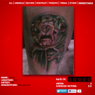 This tattoo is terrifying! What is it?? To me it looks like a turtle face melted into a cat skull, something that only exists in nightmares!