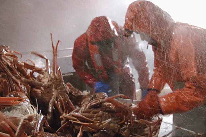 Deadliest Catch Smartisode