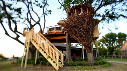 Adventure time tree house layout Adventure time tree house layout