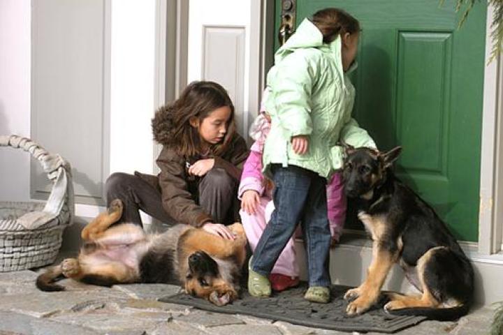 Jon & Kate Plus 8 Go Green