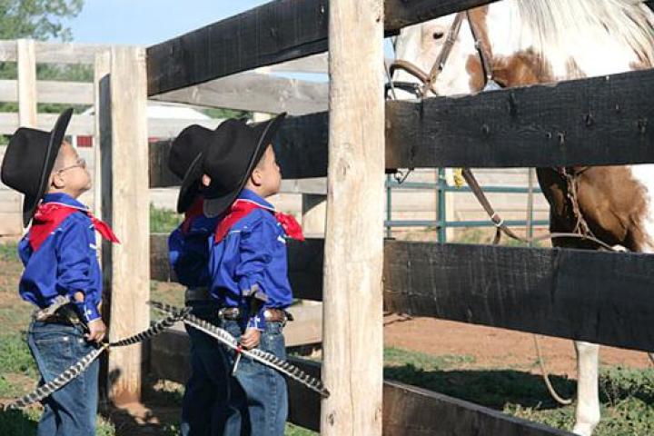 Dude Ranch