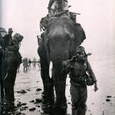 During the Burma Campaign Japanese troops are transported via elephant, 1944.