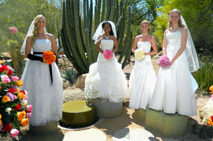 The Brides