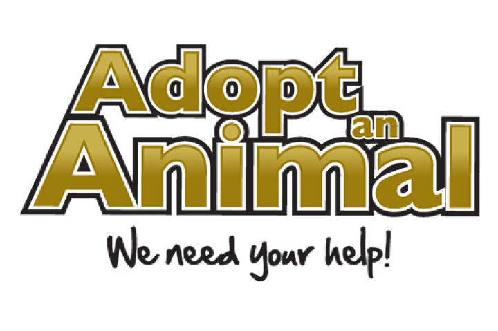 Did you know you can adopt an animal at Australia Zoo?! See the slide show of animals up for adoption and find out more information about the program at
