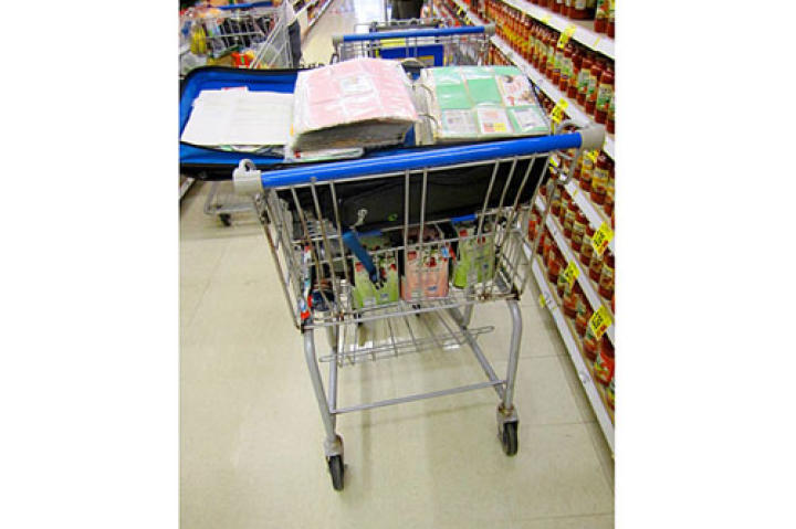 Every expert couponer knows how to organize their savings in a master couponing album.