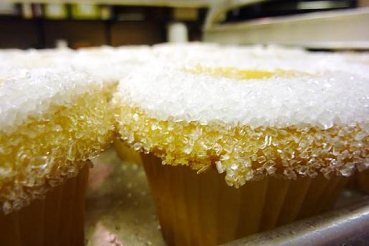 Delicious sugar-coated holiday cupcakes.