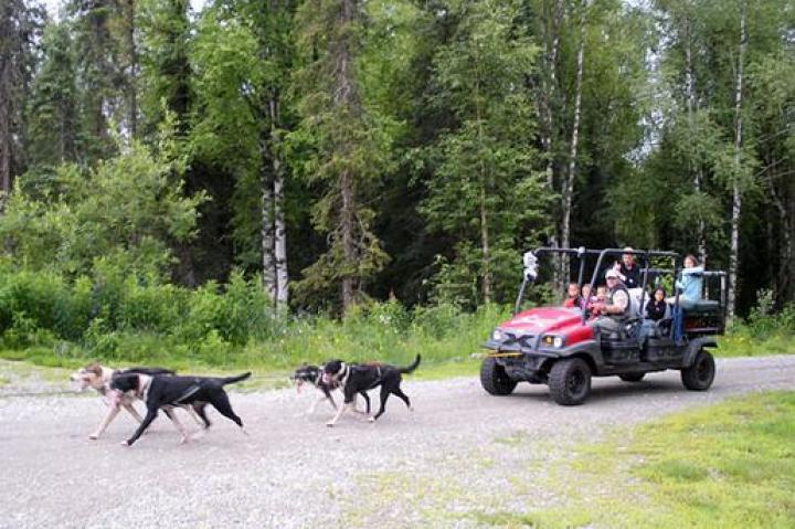 Kate Gosselin and her children on the Iditarod dog sled.