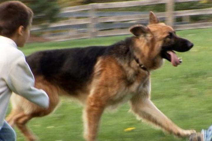 Shoka's got enough energy for all eight!