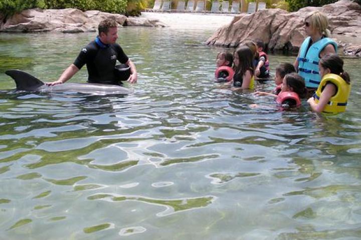 Kate and the kids listen to a dolphin trainer in the water.