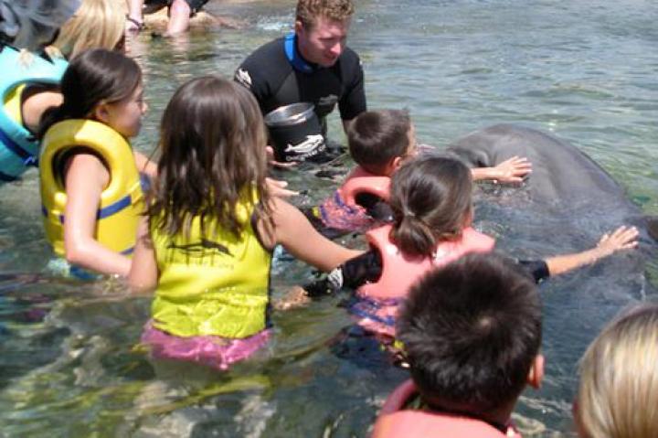 Aaden and Mady pet a dolphin.