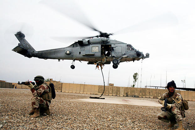 Humans have always used whatever means possible to gain an advantage over their foe - after all, it literally is a matter of life and death. Though warfare has evolved greatly over millennia, we still employ animals in armed conflicts in the same ways as our ancestors, while trying to make further use of their special capabilities.