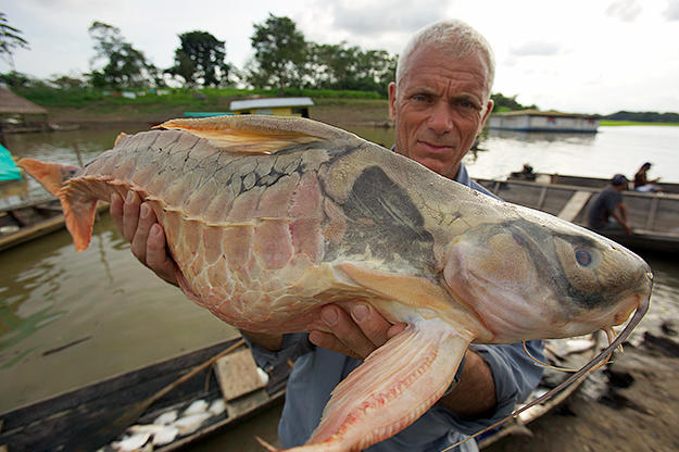 Jeremy Wade holds a river monster.