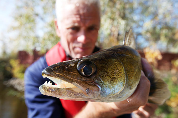 Jeremy Wade with a river monster in Chernobyl.