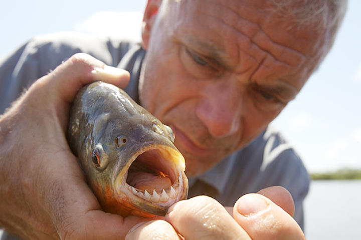 Jeremy Wade holds a river monster.