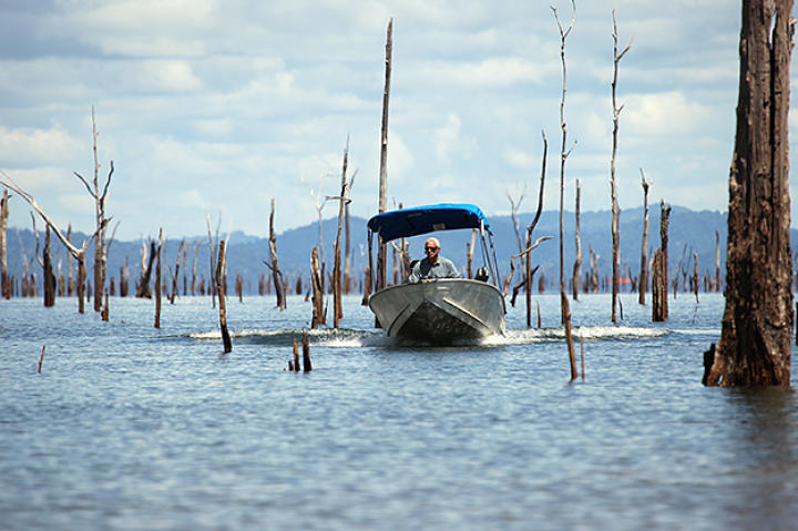 Jeremy Wade fishing for piranha.