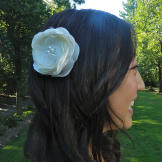 Jenny's hairpiece.