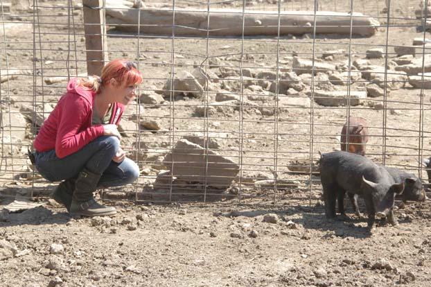 When asked who had more fun on this episode, M7 or M5, Kari replied, "It must be Jamie and Adam. They got to work with pretty little cats, and we had gross mud-covered pigs."