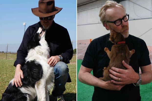 Clearly Adam has a way with animals, but in particular, he LOVES dogs. "My dogs sleep on the bed. My family is a dog family."