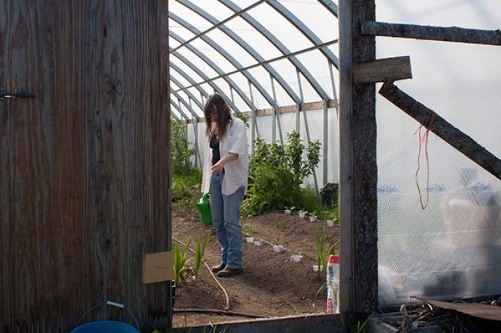 Charlotte tends to the garden in the high tunnel, making sure that this summer's crop grows bug, strong and tall.