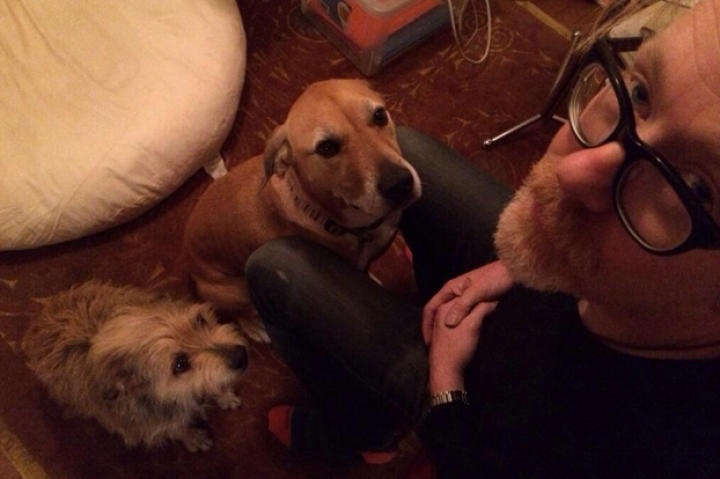 3. You have no idea what your dogs are saying when they look at you like this (although you suspect it has something to do with either food or bodily needs).