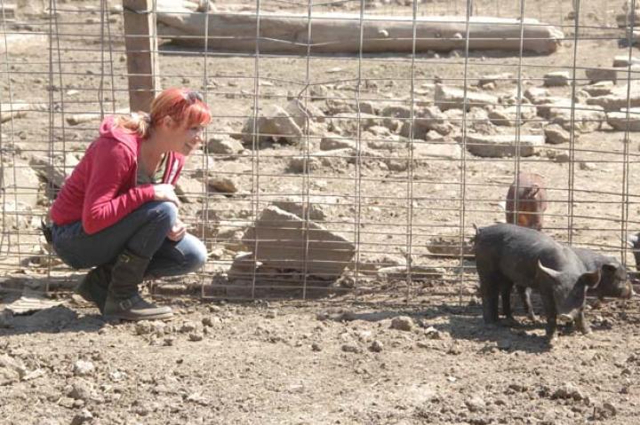 When asked who had more fun on this episode, M7 or M5, Kari replied, "It must be Jamie and Adam. They got to work with pretty little cats, and we had gross mud-covered pigs."