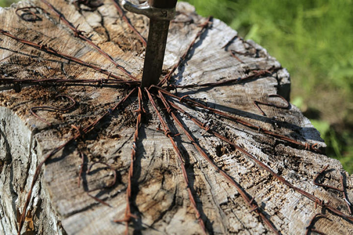 A sundial has been crafted with simple tools, a tree stump, barbed wire and an old knife.