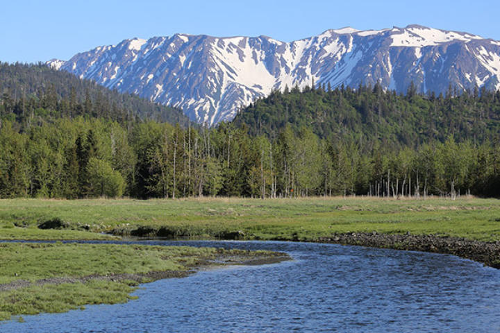 Green grasses and lush trees line the meadows, while snow still covers over parts of the mountains in the background.