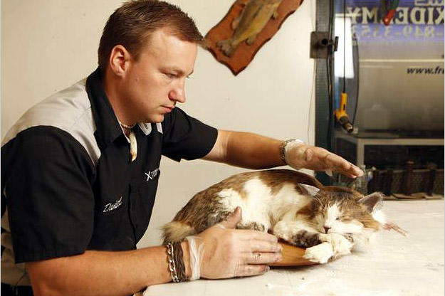 American Stuffers on Animal Planet.