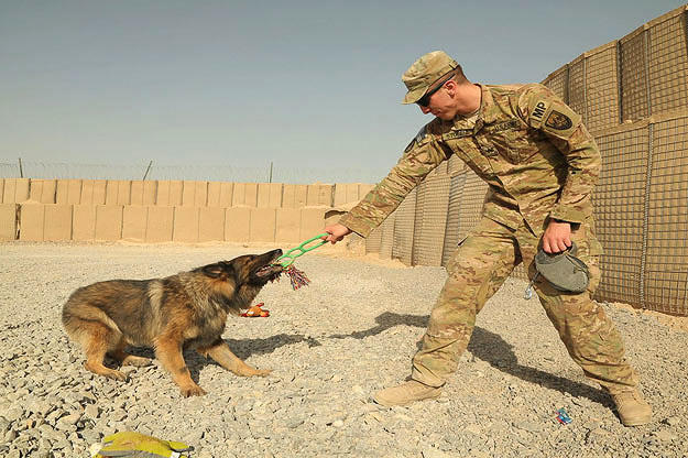 Sgt. Benjamin Stopyra and Gero