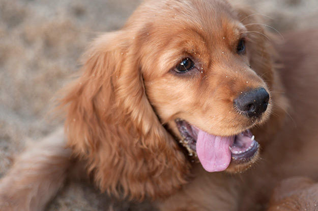ADORABLE!