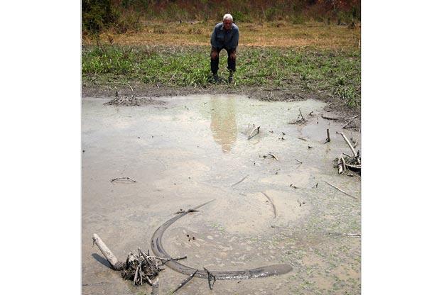 Jeremy Wade spots an electric eel in the Amazon. The electric eel actually isn't an eel, but a member of the knife fish family.