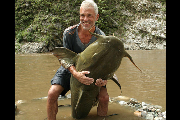 The goonch catfish lives in a stretch of water that is often used to dispose of funeral pyres after Hindu funeral rites. Theory contends that the goonch has long scavenged the half-burned human corpses from these funeral pyres.