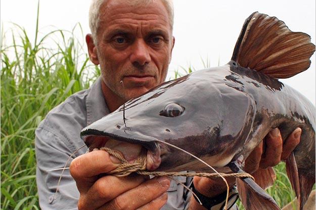 Jeremy Wade with a relatively small Kamba catfish. This fish is capable of growing to 5 feet and 300 pounds, or perhaps bigger.