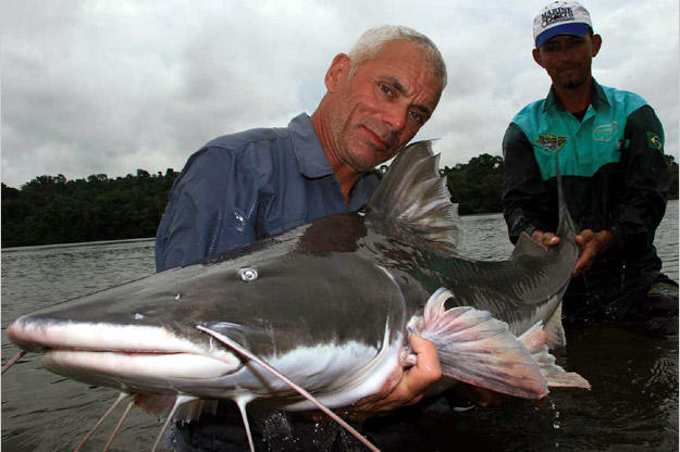 Jeremy Wade holds a 72-pound, 5-foot-long piraiba catfish. These formidable fish can grow to over 10 feet in length and 600 pounds in weight.