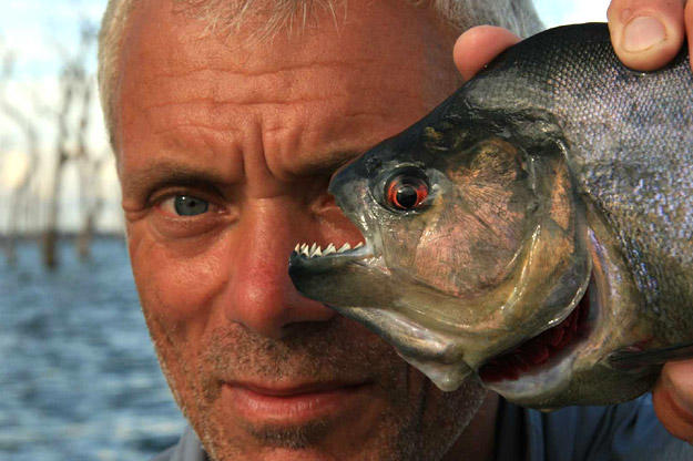 Jeremy Wade with a 1-pound black piranha, the largest of the roughly 40-known piranha species.