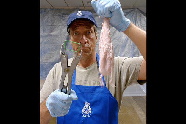 Mike Rowe traveled to Mobile, Ala., to work with the Knights of Revelry, a 137-year-old secret society that makes cow bladders every year for their "Folly" float in the Mobile Mardi Gras parade.