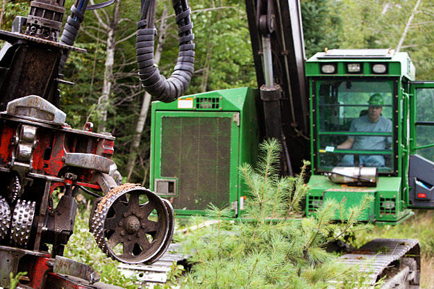 Greg Charette, a truck driver and equipment operator for Pelletier Inc., gets to work inside a processor.