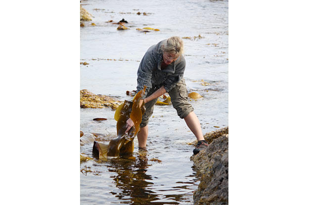 Ruth's research background comes in handy in Tasmania, where she recreates an ancient Aboriginal technique, using bull kelp to make a bowl for catching and holding water. Since the Hawkes have no canteens when they go on a mission, improvising a water-carrying device is a big step forward in their quest for survival. If you can master the basics of building fire, creating shelter, and harvesting food and water, your chances of making it in the middle of nowhere are much better.