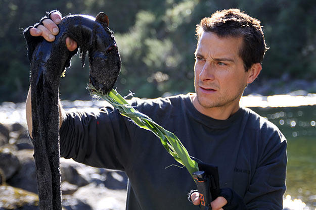 Bear Grylls holds up his dinner, an eel that he lured with a piece of whale carcass and then caught with flax, an ancient Maori fishing technique.