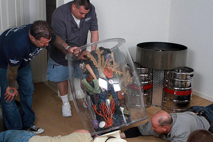 The keg tank before ...