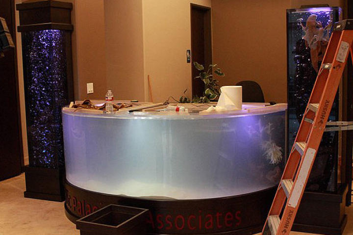 The shark tank before ...